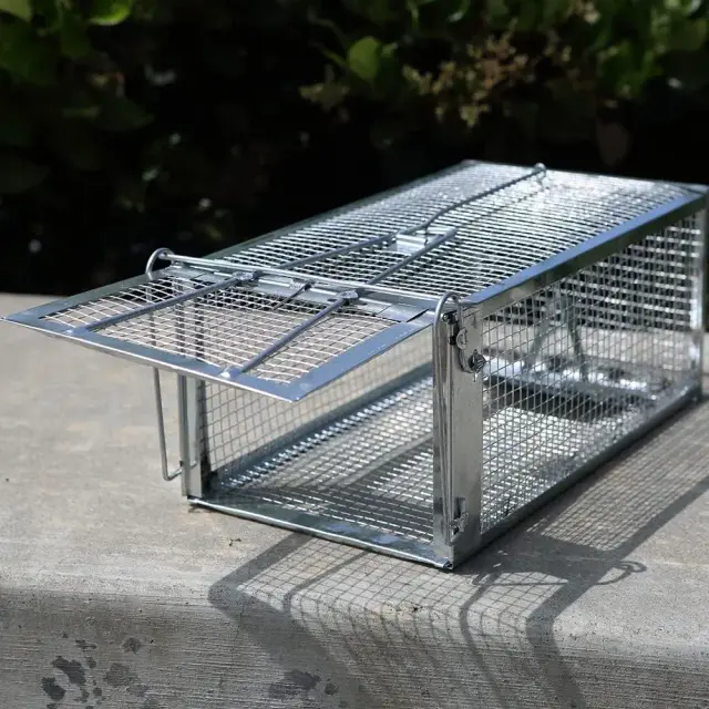 Armadilha Eficiente para Captura de Roedores: Esquilos, Ratos e Mais em Ambientes Internos e Externos