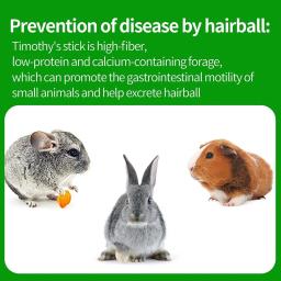 Brinquedos de mastigação para animais, cenoura e feno, varas molares para coelhos, cobaia, hamsters, chinchila, brinquedos mastigáveis coelho, deleites dos dentes - Image 4
