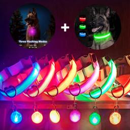 Carregamento usb colar de cão brilhante com pingente destacável luxo led luz brilhante para cães pequenos gato noite segurança colar atacado - Image 1