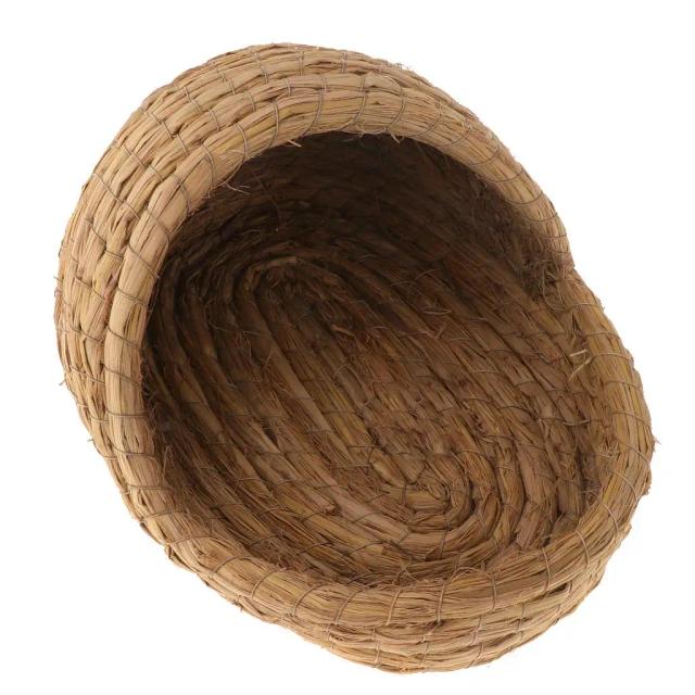 Ninho de Grama Ideal para Coelhos, Roedores e Hamsters