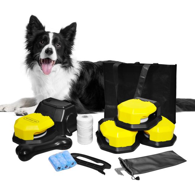 Curso Interativo de Atração para Cães: Brinquedos Pet Chase e Equipamentos de Treinamento de Agilidade