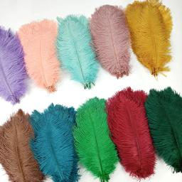 10 pçs/lote novas penas de avestruz coloridas decoração de penas brancas diy peças centrais de mesa vasos artesanato acessórios de carnaval decoração - Image 6