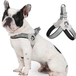 Cinta torácica respirável para cães e gatos, cintos pequenos e médios, cão pequeno e médio, cachorro verão, viagens, caminhada, francês, 1pc - Image 2