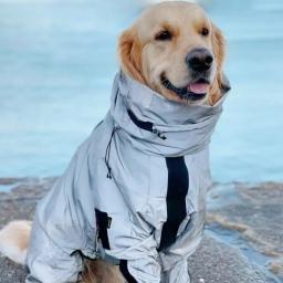 Impermeável Reflective Raincoat para Pet Dog, Raincoat Jumpsuit, Rain Coat, protetor solar, roupas ao ar livre, jaqueta para cães pequenos, Pet Shop - Image 1