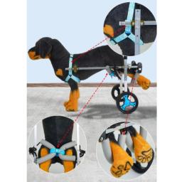Cadeira de rodas para cães com suporte completo, 4 rodas, carrinho pequeno e médio, leve, metal, com deficiência - Image 3