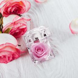 Flor Eterna Preservada com Caixa, Eterna Rosa, Presente para Dia dos Namorados, Aniversário e Aniversário, 1pc - Image 5