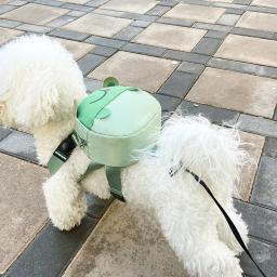 Mochila, Animal dos desenhos animados, Abelha, Em Forma de Pintainho, Pet Snack Saco Peito, Viagem, Suprimentos ao ar livre, Cães e Gatos Pequenos e Médios - Image 2
