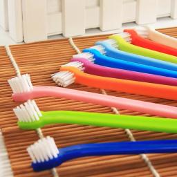 Single Head Toothbrush Set para Pet, escova de dentes para cão, limpeza de dentes, Oral Care, gato, Pet Supplies, 2 pcs - Image 2