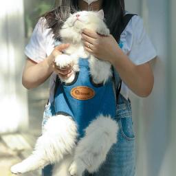 Gato do animal de estimação mochila portátil filhote de cachorro gato transportadora saco de viagem ao ar livre respirável pet cat frente ombro transporte saco estilingue suprimentos para animais de estimação - Image 2