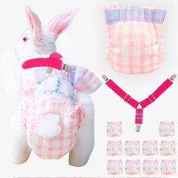 Descartável anti-derramamento pet fralda com sling, pequeno pet calças menstruais, suprimentos fisiológicos, coelho, 10pcs - Image 1