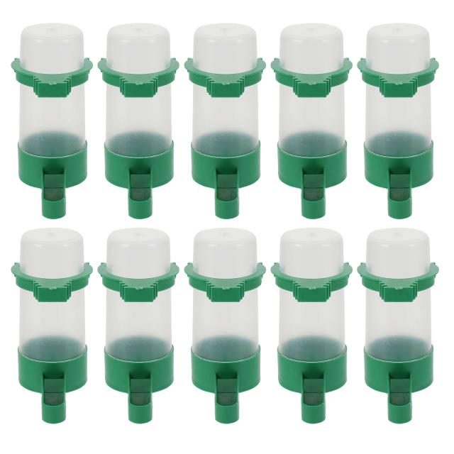 Bacia de Água Automática para Pássaros: Bebedouros para Pombo, Codorna e Papagaio