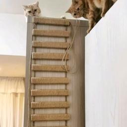 Vários tamanhos ponte de gato uso para gaiola de gato sisal corda escada de gato móveis para animais de estimação gato passo scratcher post gatinho brinquedos gato árvore torre - Image 6