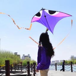 Professional Kites Flying Dragon Kite, Kitesurf Winder, Outdoor Sports Toys, Frete Grátis, City Elf - Image 5