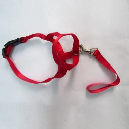 Nylon Dog Focinho Ajustável Anti-latido Anti-mordida Harness Head Collar Focinho Dog Halter Training Leash Leader Colar Clássico - Image 5