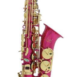 Saxofone alto eb, requintado, esculpido, instrumento de sopro de alta qualidade, concha de abalone, sax de latão com caixa, peças de instrumento musical - Image 4