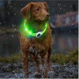 LED Luminous PVC Dog Collar, impermeável, USB Luz, Segurança Noturna, Brilhante Acessórios Pet, Grande, Médio, Cães pequenos, Novo - Image 6