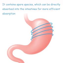 10 bags/box probióticos de saúde gastrointestinal para gatos, cães pet suplementos nutricionais diarréia, vômito, melhorar o apetite - Image 5