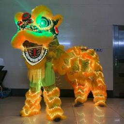 Parque de diversões de leão com led, adereços de dança de leão, festival tradicional chinês, luz led dupla, dança do leão, traje sul - Image 4