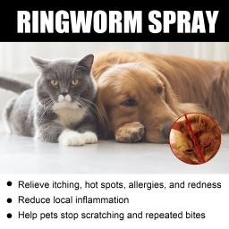30ml spray especial para doenças da pele do gato coceira ácaro aliviar micose tratamento medicina reduzir inflamação local suprimentos para gatos - Image 3