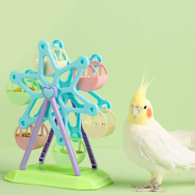 Brinquedo de Roda-Gigante para Papagaios e Acessórios de Alimentação para Pássaros na Gaiola