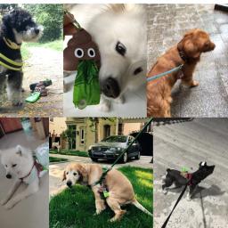 Saco dispensador de lixo para cachorro de estimação, suporte dispensador de cocô de resíduos, sacos de cocô, animais de estimação, limpeza do lixo, brinquedo para cães, suprimentos para animais de estimação, venda imperdível - Image 5