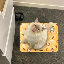 Tapete de resfriamento lavável para animais de estimação, cobertor, sofá, cama, almofada, cães pequenos, médios, grandes, gatos - Image 5