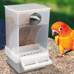 Alimentador automático de pássaros sem problemas, recipiente de alimento de periquito claro e fácil reabastecimento para pombinhos pequenos e médios - Image 4