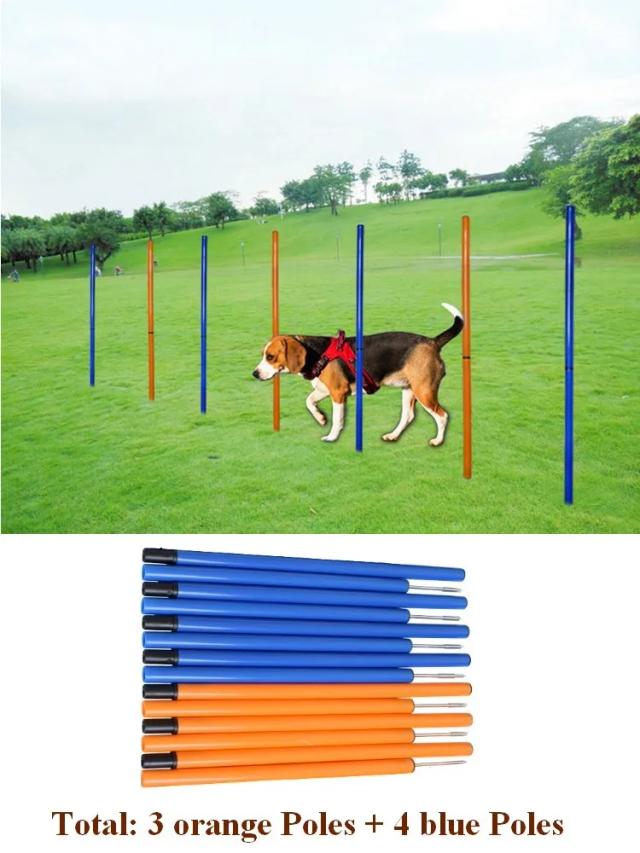 Kit Completo de Equipamentos para Treinamento de Agilidade para Cães com Túnel, Pólos e Obstáculos