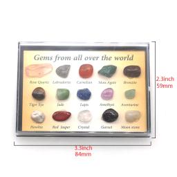 Caixa de Coleção de Pedras Preciosas Naturais, Cristais de Quartzo, Pedras Caídos, Rocha Granel, Espécime Mineral, O Mundo, Irregular, 12 Pcs/Set, 15 Pcs/Set, 36 Pcs/Set - Image 4