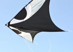 Professional Kites Flying Dragon Kite, Kitesurf Winder, Outdoor Sports Toys, Frete Grátis, City Elf - Image 3