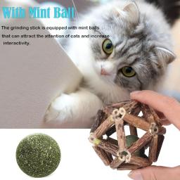 Brinquedos interativos para animais de estimação para gatos indoor, limpeza dos dentes, quebra-cabeça dos dentes, bola de hortelã, brinquedo esportivo - Image 3