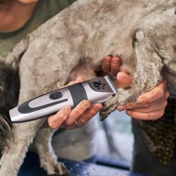 Baixo ruído Pet Trimmer com R-Type cabeça, Cat Grooming suprimentos, 5 modos ajustáveis, USB Recarga - Image 2