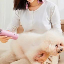 Alta potência Pet cabelo secador, silencioso pescoço pendurado, portátil beleza cabelo puxando máquina para cães, secagem rápida, Puppy Fur Blower - Image 2