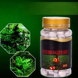 Cápsula Bio-Nitrobacteria para Aquário, Limpeza do Aquário, Probióticos, Ferramenta de Limpeza de Água, Lagoa, 80g por Garrafa - Image 1