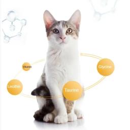 Comida molhada para gato de atum, Deliciosa sopa de carne, Nutritivo e delicioso, Bochechas enlatadas de engorda, Nutritious Meal Kitty Food - Image 5