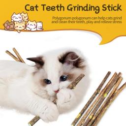 Pure Natural Catnip Pet Creme Dental Brinquedo, Cat Snacks Sticks, segurança ramo molar, limpeza dos dentes, auto-cura, suprimentos quentes - Image 1