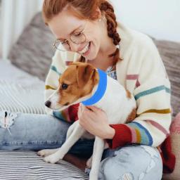 Colar de gelo ajustável Bandana de gelo para animais de estimação, Colar para cães, Colar de gelo fresco verão - Image 5