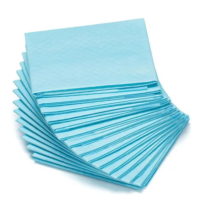 Fraldas Absorventes Descartáveis para Cães - Almofadas de Treinamento Rápido para Pipi, Pacotes de 20, 40, 50 e 100 Unidades