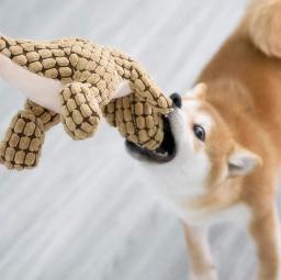 Pelúcia interativo dinossauro mastigar brinquedos para gatos e cães, recheio suprimentos, pequeno animal de estimação - Image 2