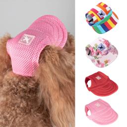 Boné de lona para pequenos animais, acessórios esportivos ao ar livre, caminhadas e esportes, verão - Image 1