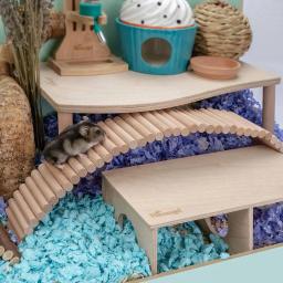 Escada De Hamster De Madeira Para Brinquedos De Mastigação, 2 Em 1, Ponte, Jogar, Natural, Paisagismo Suprimentos, Decoração De Gaiola - Image 3
