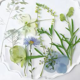 Flores secas flores preservadas materiais de resina epóxi velas diy materiais florais hortênsia uma variedade de flores em um pacote - Image 4
