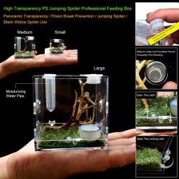 Caixa De Reprodução De Répteis Terrário Caixa De Reprodução De Répteis De Plástico Gaiola De Terrário Caixa De Visualização De Insetos Para Grilo Aranha Besouro Caracol - Image 2