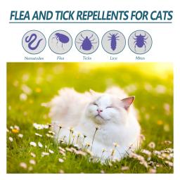 Agente anti-pulgas para animais de estimação, repelente de insetos para gatos e cães, limpeza de piolhos e carrapatos in vivo - Image 3