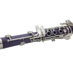 SLADE 17 teclas clarinete bb tubo profissional para performance de concerto clarinete com kit de limpeza de clarinete peças e acessórios - Image 5