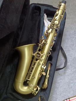 Saxofone Alto Referência com Bocal, Antique Copper Plated, E-Flat, Professional Instrumento Musical, Reed Neck, frete grátis - Image 5