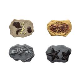 Mini Dinossauro Modelo Fóssil, Artesanato em Miniatura, Decorações Dollhouse, Dolls House Ornament, Brinquedo, Micro Paisagem, 4Pcs - Image 5