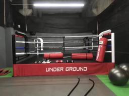 Professional Kick Boxing Ring, Mini, 4x4, bom preço, logotipo personalizado - Image 6