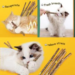 Pure Natural Catnip Pet Creme Dental Brinquedo, Cat Snacks Sticks, segurança ramo molar, limpeza dos dentes, auto-cura, suprimentos quentes - Image 3