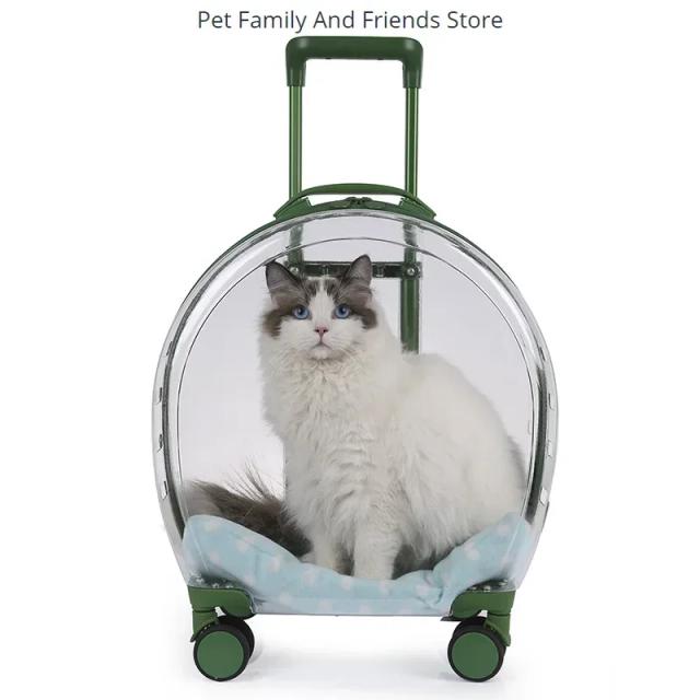 Estojo transparente para transporte seguro de cães e gatos em voos - caixa espacial portátil para animais de pequeno e médio porte